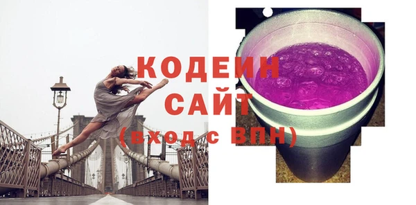 дмт Вяземский